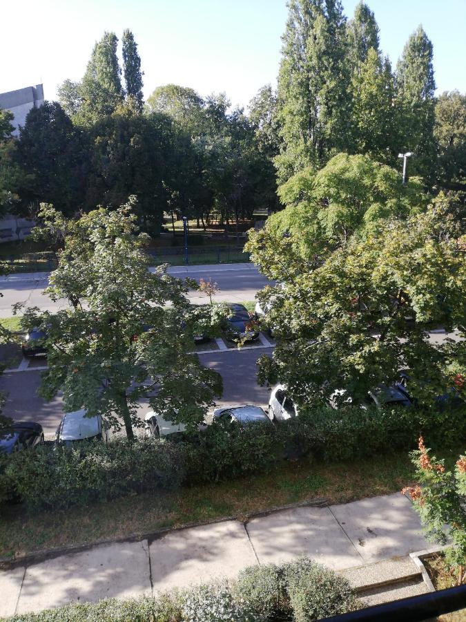 Apartman Vanja Belgrad Exterior foto